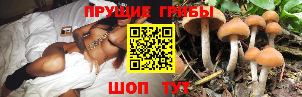 Псилоцибиновые грибы Magic Shrooms Геленджик